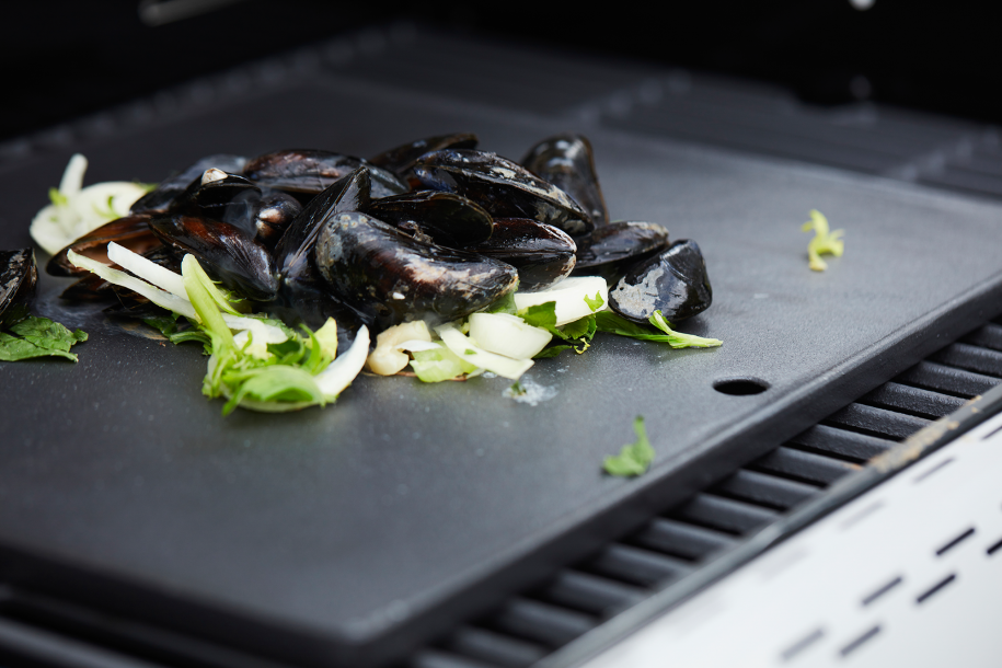 Dynamic Core enamelled cast iron cooking griddle