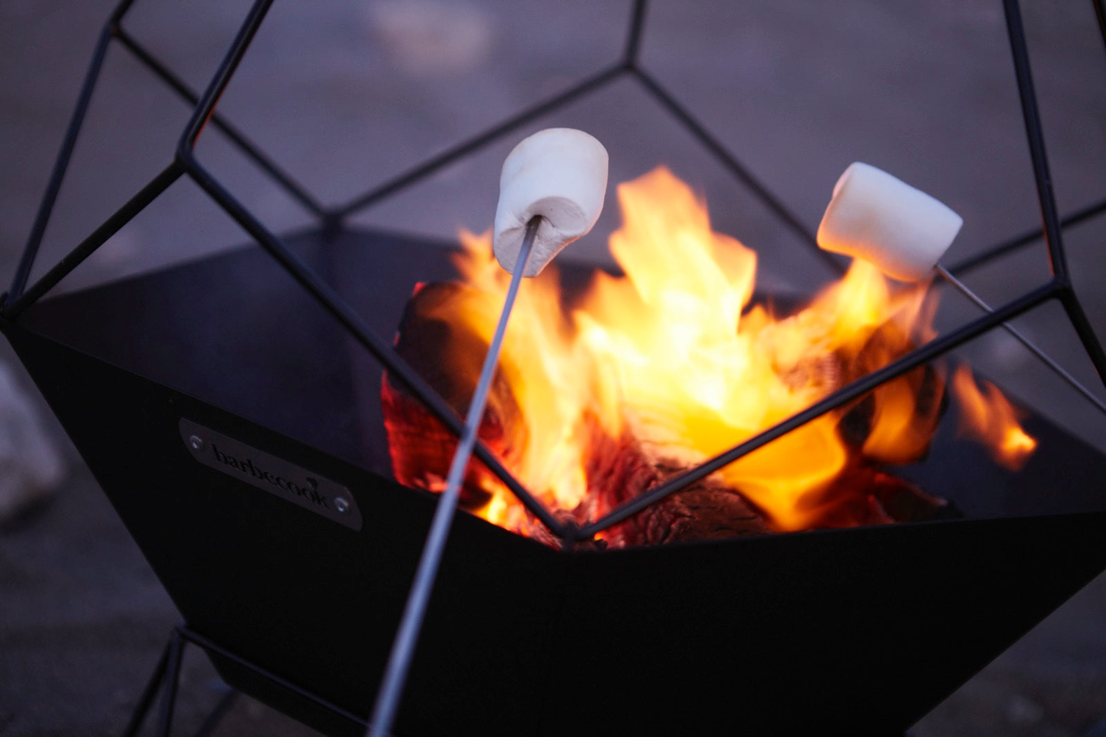 A winter barbecue with Barbecook