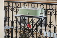 E-Carlo electric table grill Paris Green