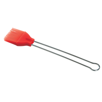 Silicone brush