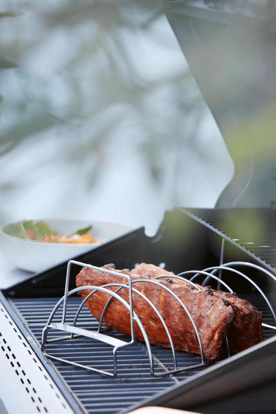 Meat and rib rack